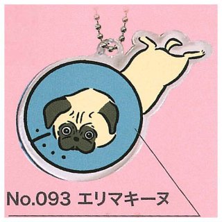 変な犬図鑑 アクリルキーホルダー [5.エリマキーヌ]【ネコポス配送対応】【C】