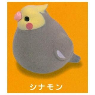 mochi mochi Ȥꤵ եåեӥޥå3 [3.ʥ] ͥݥԲ ۡC