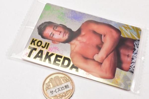 RIZINウエハース [19.武田光司],バンダイ 食玩 通販