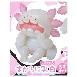 ˤȴ̯ã å㥯ѡޤ [4.ޤ/()] ͥݥԲ ۡC