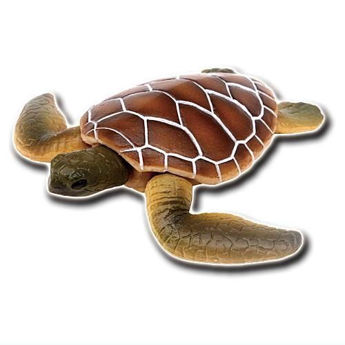 あそべる生物フィギュアシリーズ 世界の亀たち1 [1.アオウミガメ