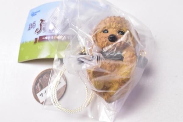 ぶらぶらりーず ゆれるわんこたち [1.トイプードル],ピーナッツ