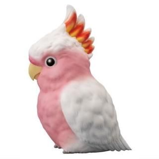 �ƤΤ�ե��10 [6.����ޥ���������]�� �ͥ��ݥ��Բ� �ۡ�C��