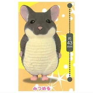 ᡼ä ҸΤ餵 [5.ߤĤ]ڥͥݥбۡC