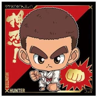 �ˤդ���᡼����� HUNTER��HUNTER ������ߥ����ϡ���vol.5 [20.����(�쥢)]�ڥͥ��ݥ������б��ۡ�C��