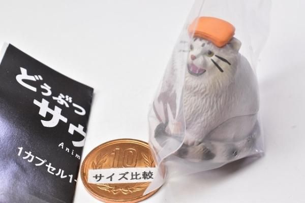 どうぶつサウナ11 - メルカリ
