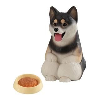 �ޤƤܤ��� �� [2.����]�ڥͥ��ݥ������б��ۡ�C��