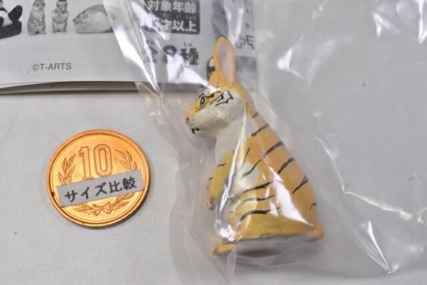 トラだって愛されたい……！人気動物に“トラ”ンスフォームしたトラ
