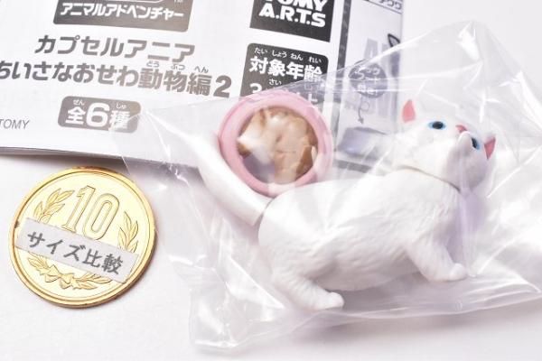 カプセルアニア ちいさなおせわ動物編2 [1.マンチカン(ホワイト