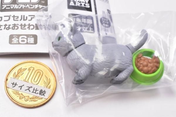 T-ARTS - カプセルアニア　ちいさなおせわ動物編2 マンチカン　ガチャガチャ　フィギュア カプセルアニア ちいさなお世話動物編」第2弾が3月下旬発売