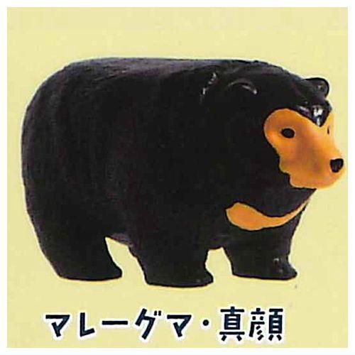クマピラミッド [1.マレーグマ・真顔],エール ガチャガチャ