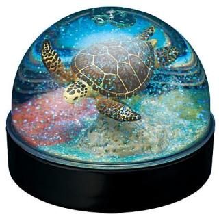 ウォータードームファクトリー 海洋生物編 [3.フンボルト