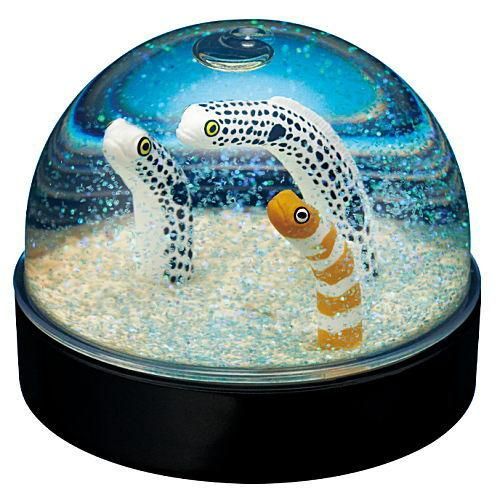 ウォータードームファクトリー 海洋生物編 [2.チンアナゴ