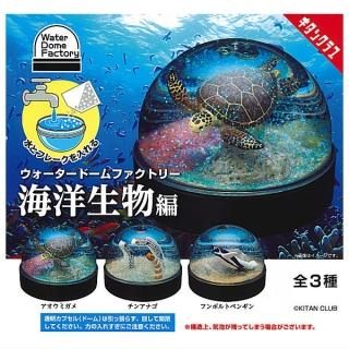 ガチャ「ウォータードームファクトリー、海洋生物編」フンボルト