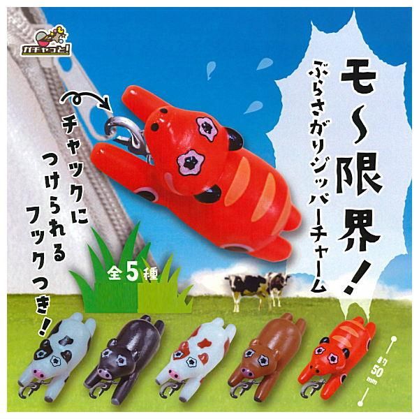 星ドラのアクリルスタンド付きキーホルダーの全8種フルコンプ 星