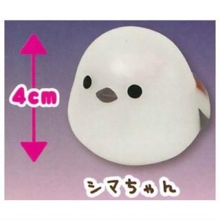 �դ��դ����ޥ��ʥ� �ۤ����߸����ե� [1.���ޤ����]�� �ͥ��ݥ��Բ� �ۡ�C��