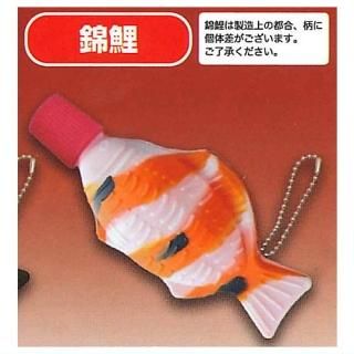 Τ ꥳݡ [åȡӸ]ڥͥݥбۡC