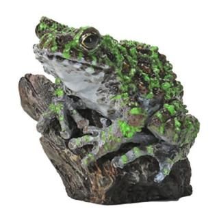 ޴եߥ˥쥯 ξ01 [5.ʥ磻塞] ͥݥԲ ۡC