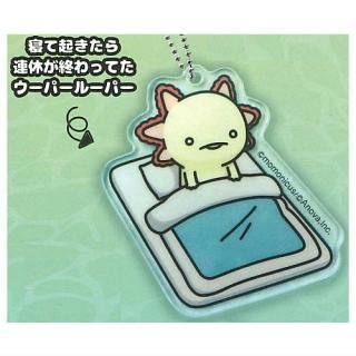 ϥѡ롼ѡ ܡ vol.3 [1.ƵϢ٤äƤѡ롼ѡ]ڥͥݥбۡC