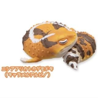 ˥եꥫȥɥȥ쥹ƥåɥå 䤹ߥ꡼ [1.˥եꥫȥɥ(륢ӥ)]ڥͥݥбۡC