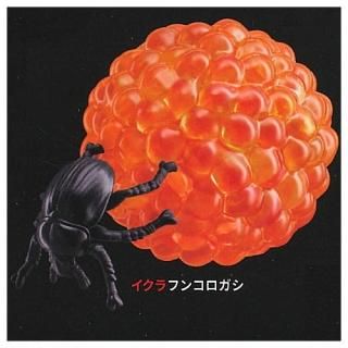  ʬ [2.ե󥳥] ͥݥԲ ۡC