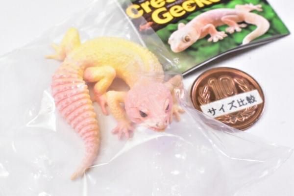 カプセルQ ヤモリ大全2 クレステッドゲッコー [4.ヒョウモン