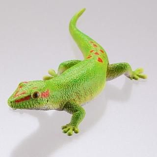 カプセルQ ヤモリ大全2 クレステッドゲッコー [4.ヒョウモン
