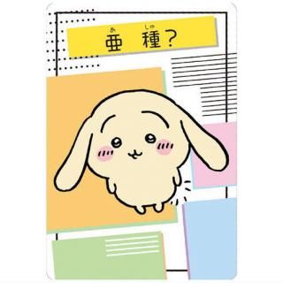 �������� ���쥯����󥫡��ɥ���5 [18.���(�إ��������륫����)]�ڥͥ��ݥ������б��ۡ�C��