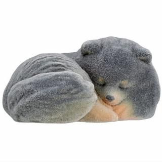 դեݥ˥ [1.ޤޤA]ڥͥݥбۡC