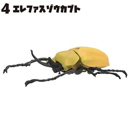 昆虫王 [4.エレファスゾウカブト],エフトイズ ガチャガチャ