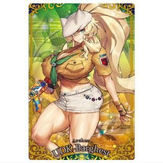 Fate/Grand Order �����ϡ���13 [10.�������㡼/UDK-�С�������(R)]�ڥͥ��ݥ������б��ۡ�C��