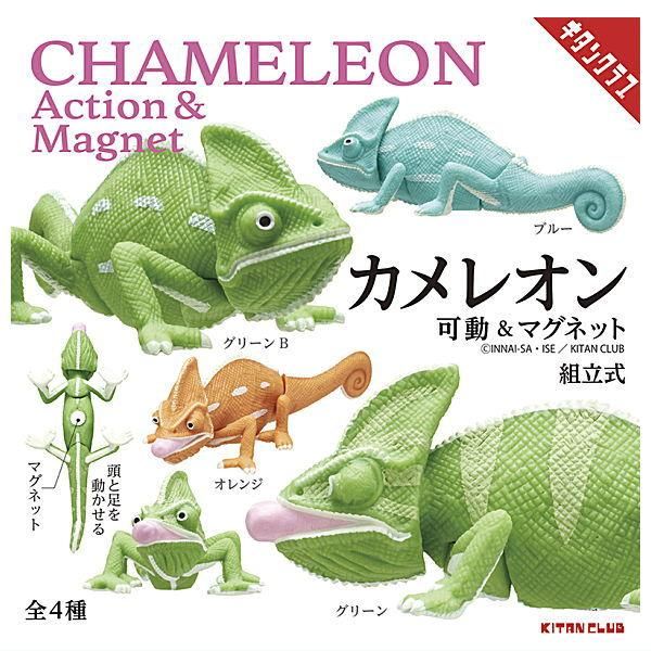Amazon.co.jp: むすめん Chameleon Color CD DVD MeseMoa めせも