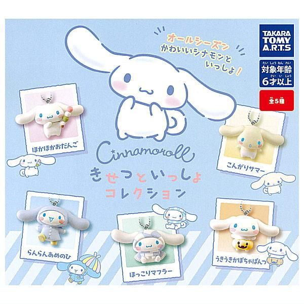 サンリオ 昭和レトロ クマ ぬいぐるみ 中古品 - メルカリ