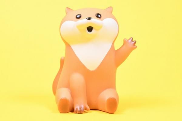 アガベ チタノタ オテロイ 蟹 カニ 中株 ライムグリーン 26