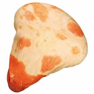 ʥΥɥ륫С [4.Х󥫥졼դʥ] ͥݥԲ ۡC