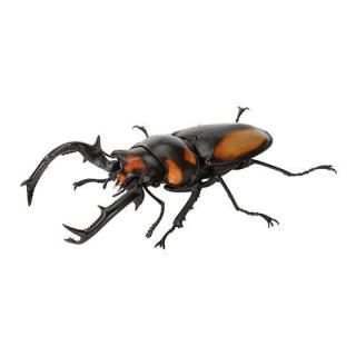 ���������޴� ���郎��08 [4.���ڥ��������������塞��]�� �ͥ��ݥ��Բ� ��