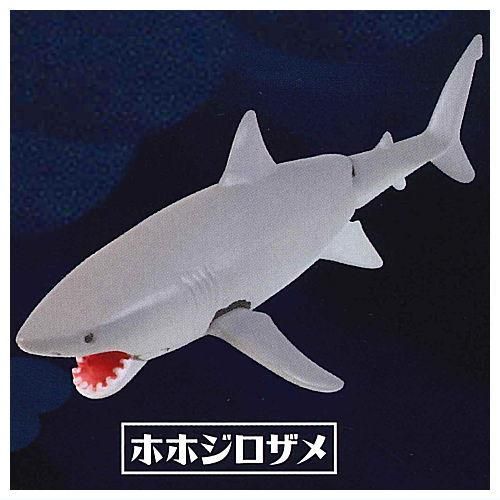 あそべる生物フィギュアシリーズ ザ・シャーク ジンベエザメ発見