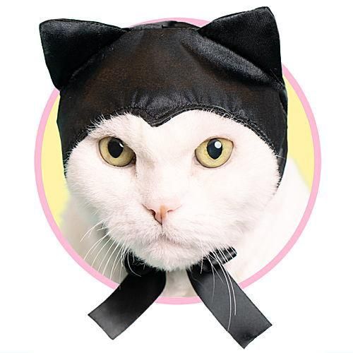 ギターにじゃれるねこちゃんチャーム 黄とら おもちゃのタカラトミー