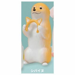 Ϥޤޥåȥե奢 [4.Х]ڥͥݥбۡC