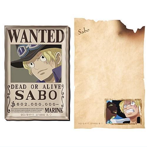 サボちゃん♡小物入れ