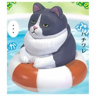 浮き輪 ビーチ プール 猫 キャット ネコ 茶トラ アニマル 動物 浮き輪 ビーチ プール 猫 キャット ネコ 茶トラ アニマル 動物