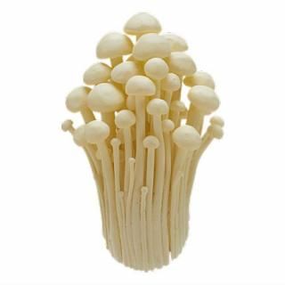 �ͥ����㡼�ƥ��˥��顼 MONO PLUS ���Υ��ޥ��ͥå�1 [4.���Υ�����]�ڥͥ��ݥ������б��ۡ�C��