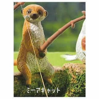 �������4 ưʪ�����ΤҤޤĤ֤� [3.�ߡ�������å�]�ڥͥ��ݥ������б��ۡ�C��