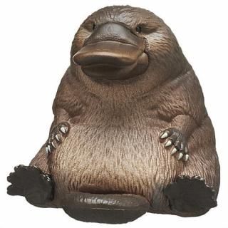 RBEN STUDIO(�꡼�٥󥹥�����)  ���˥ޥ�ե����奢�ޥ����å�4 [1.����Υϥ�]�� �ͥ��ݥ��Բ� �ۡ�C��