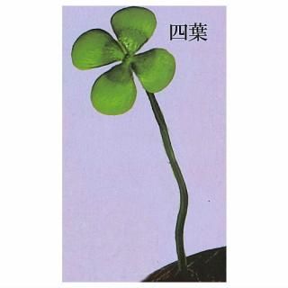 ƤĶƲ֥إå [2.]ڥͥݥбۡC