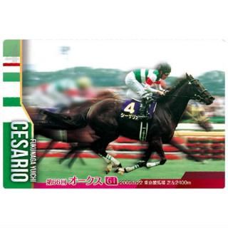 ����֥�åɥۡ������쥯����� �ĥ��󥦥��ϡ��� [13.�������ꥪ ��66��ͥ������(G1) (�Ρ��ޥ륫����)]�ڥͥ��ݥ������б��ۡ�C��