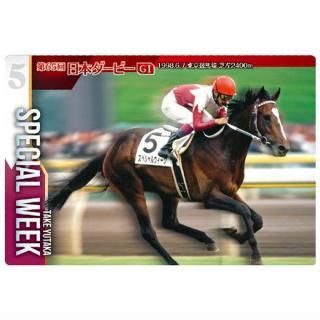 ����֥�åɥۡ������쥯����� �ĥ��󥦥��ϡ��� [19.���ڥ���륦������ ��65�����ͥ��(G1) (�Ρ��ޥ륫����)]�ڥͥ��ݥ������б��ۡ�C��