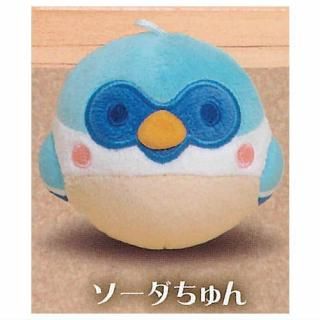 ������Τ���� �ޥ����åȤ̤������ [6.�����������]�� �ͥ��ݥ��Բ� �ۡ�C��