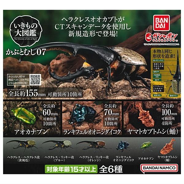 いきもの大図鑑 かぶとむし07 × 全6種 フルコンプ ガチャガチャ