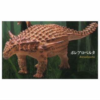 ���ץ���Q ��εȯ����7 ������ε¤�������� [2.�ܥ쥢���ڥ륿]�ڥͥ��ݥ������б��ۡ�C��